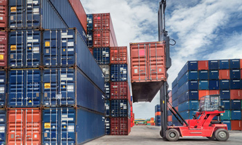 Services and easements for importers