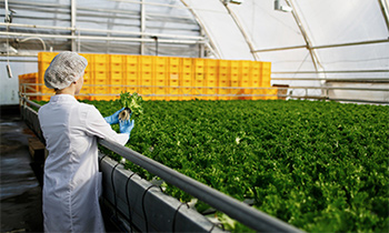 HACCP